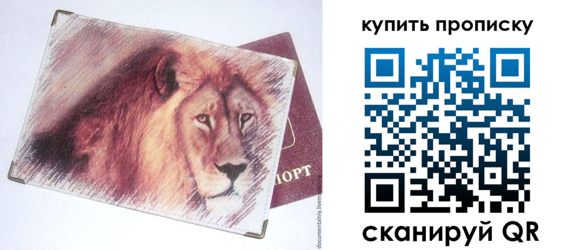 прописка паспорт в Богучаре